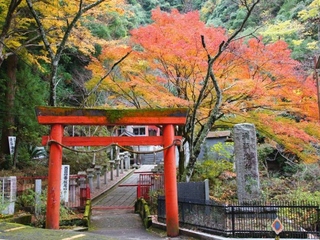 Czerwona brama w Osace